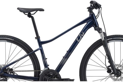 Rower crossowy Giant Liv Rove 4